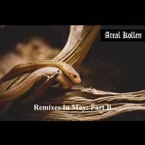Pochette de Remixes in May: Part B de Areal Kollen