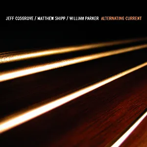 Pochette de Alternating Current de Matthew Shipp - William Parker
