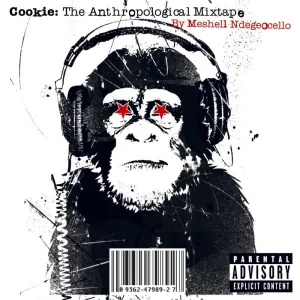 Pochette de Cookie: The Anthropological Mixtape de Meshell Ndegeocello