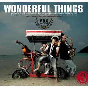 Pochette de Wonderful Things de V.O.S