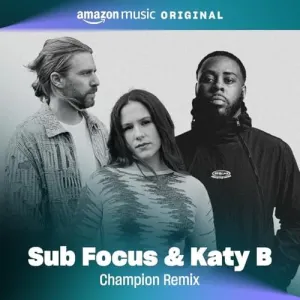 Pochette de Push the Tempo (Champion remix) de Sub Focus - Katy B
