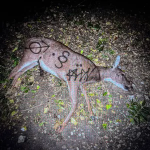 Pochette de crocodile eyes de Wisp