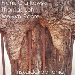 Pochette de Triskaidekaphonia de Thomas Lehn - Frank Gratkowski