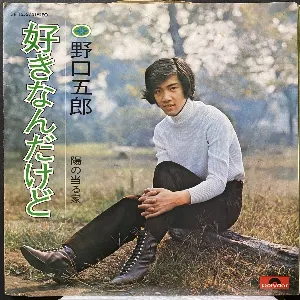 Pochette de 好きなんだけど de Goro Noguchi