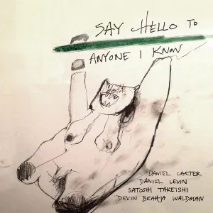 Pochette de Say Hello to Anyone I Know de Daniel Carter