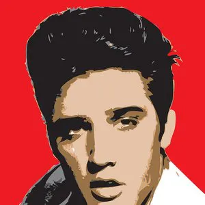 Pochette Playlist: The Very Best of Elvis Presley