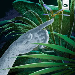 Pochette de Tropical Midnight de C Y G N