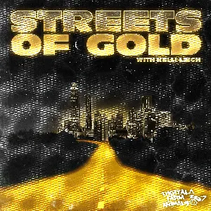 Pochette de Streets of Gold de Digital Farm Animals