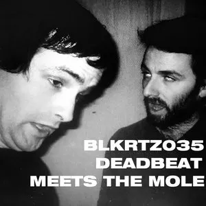 Pochette de Deadbeat Meets The Mole de Deadbeat