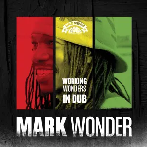 Pochette de Working Wonders in Dub de Mark Wonder