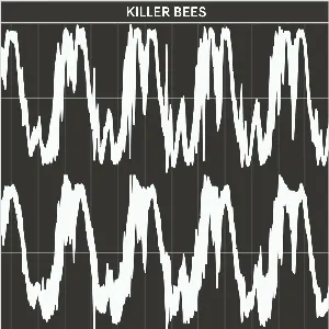 Pochette de KILLER BEES de COPYCATT