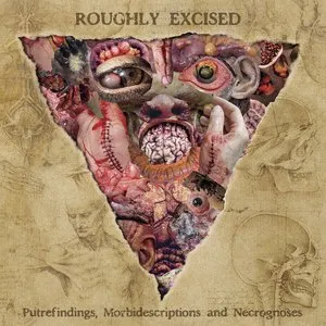 Pochette de Roughly Excised - Putrefindings, Morbidescriptions and Necrognoses de Lymphatic Phlegm