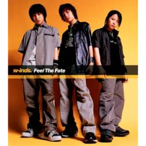 Pochette de Feel The Fate de w-inds.