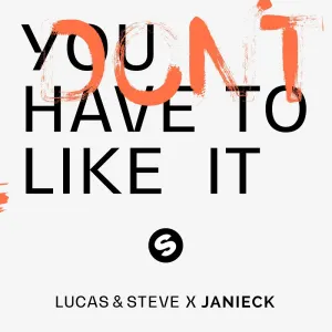 Pochette de You Don't Have To Like It de Lucas & Steve