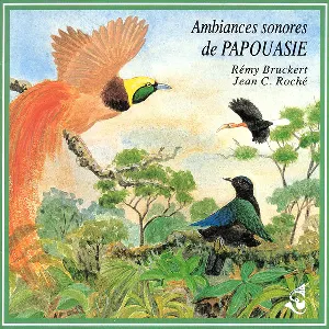 Pochette de Ambiances de Papouasie / New Guinea Soundscapes de Jean C. Roché - Rémy Bruckert