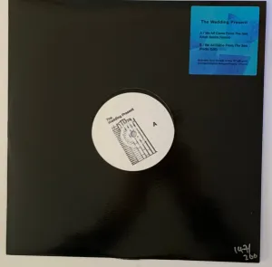 Pochette de We All Came From the Sea (Utah Saints remix) de The Wedding Present