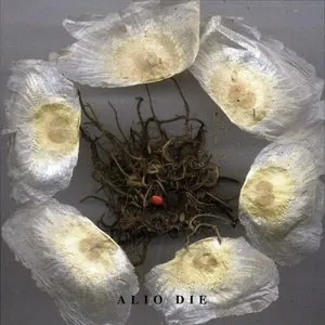 Pochette de Il Tempo Magico di Saturnia Pavonia de Alio Die