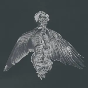 Pochette de Til Vinden I Dine Øjne de øjeRum
