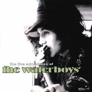 Pochette The Live Adventures of the Waterboys