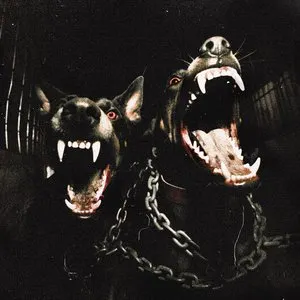 Pochette de DAWGS de Phace
