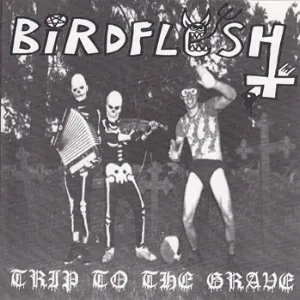 Pochette de Trip to the Grave de Birdflesh