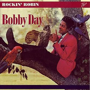 Pochette Rockin’ With Robin
