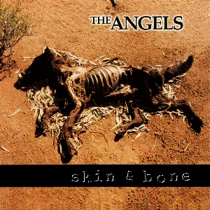 Pochette de Skin & Bone de The Angels