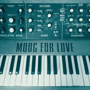 Pochette Moog for Love
