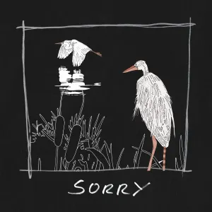 Pochette de Sorry de Tors