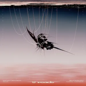 Pochette de Threads de What So Not