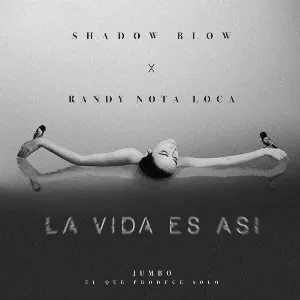 Pochette de La vida es así de Randy - Shadow Blow