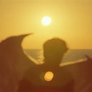 Pochette de Right Here de Said the Sky