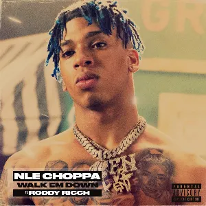 Pochette de Walk Em Down de NLE Choppa