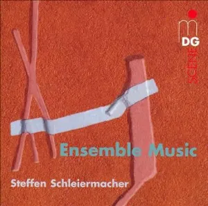 Pochette de Ensemble Music de Steffen Schleiermacher