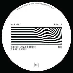 Pochette de Brainticket de Ahmet Mecnun