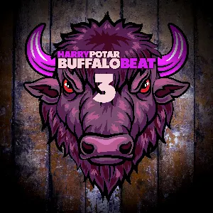 Pochette de Buffalo Beat 03 de Harry Potar