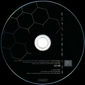 Pochette de ホログラムを登る男 karaoke CD de Susumu Hirasawa