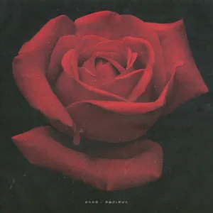 Pochette de 赤の永遠 / 罪滅ぼし野ばら de Kiyoharu