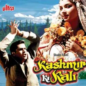 Pochette Kashmir Ki Kali