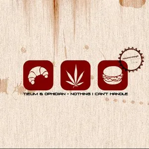 Pochette de Nothing I Can't Handle de Tieum