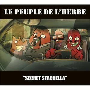 Pochette Secret Stachella