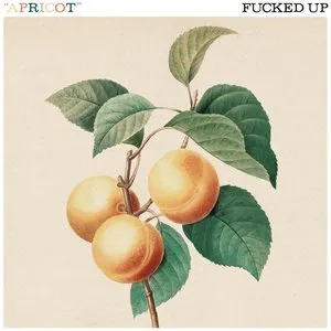 Pochette de Apricot de Fucked Up