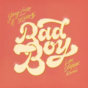 Pochette de Bad Boy (Low Steppa remix) de bbno$