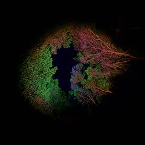 Pochette de Hidden Island Music (Untitled #398) de Francisco López