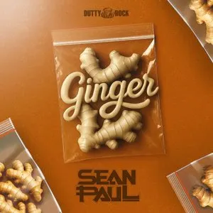 Pochette de Ginger de Sean Paul