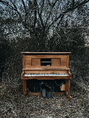 Pochette de The Lost Isolacion Concert (April 15, 2020) de Scott Lawlor
