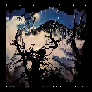 Pochette de Burning From the Inside de Bauhaus