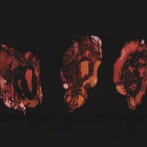 Pochette de Kénôse de Deathspell Omega
