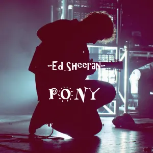 Pochette Pony (Single)