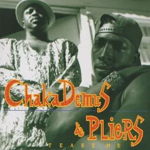 Pochette de Tease Me de Chaka Demus & Pliers